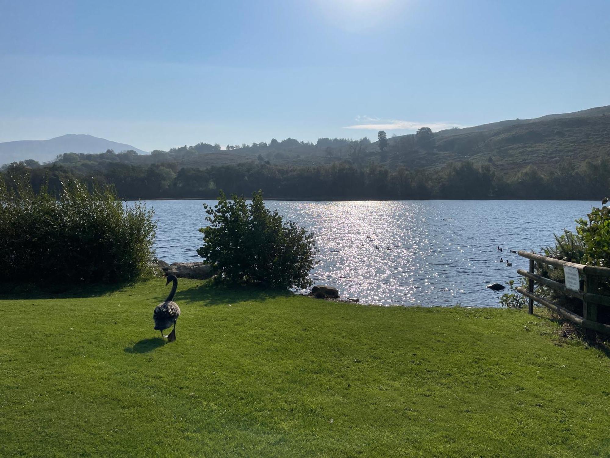 Cwm-y-glo No 61 Brynteg Country & Leisure Retreatヴィラ エクステリア 写真